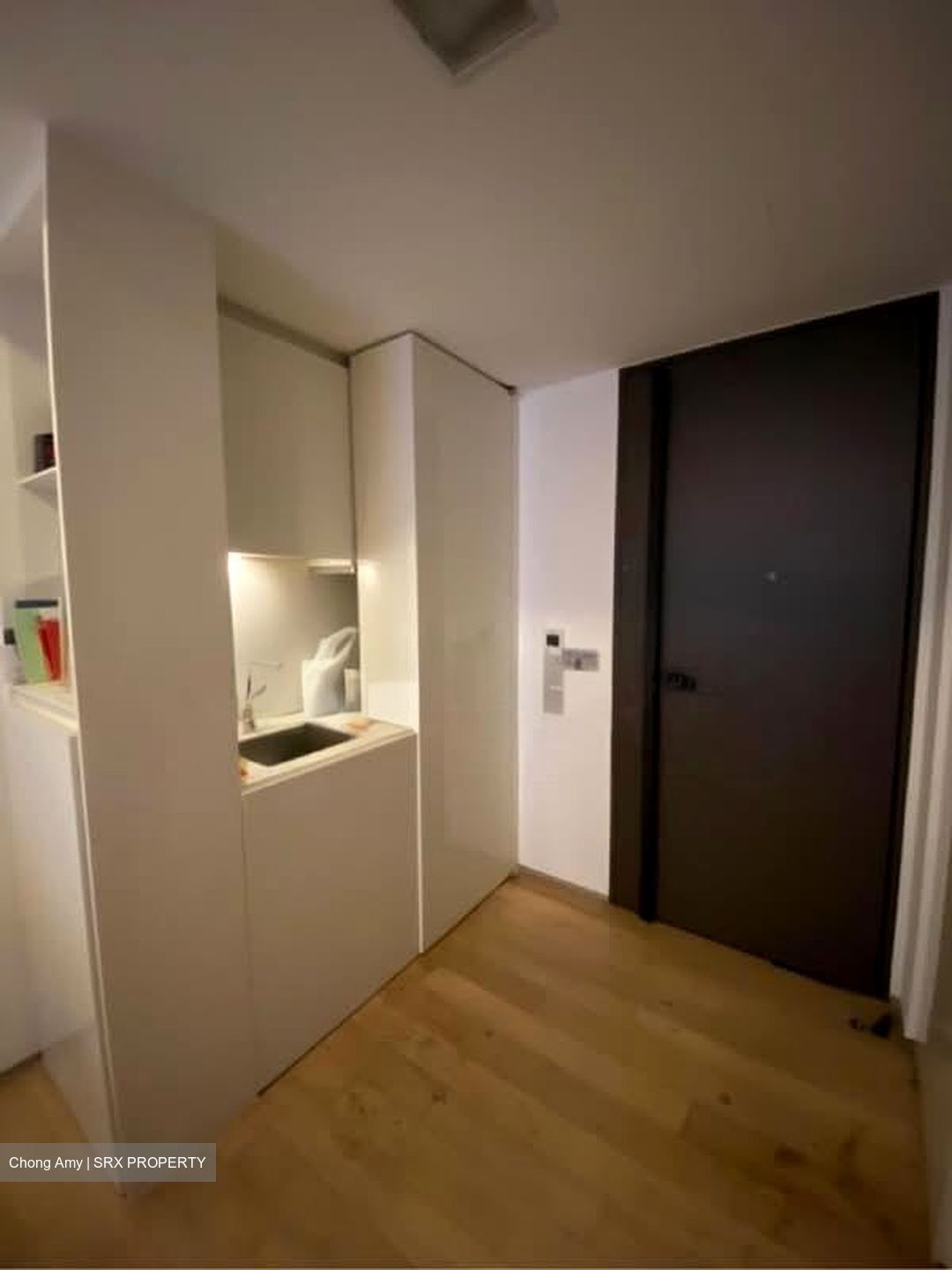 Skysuites@Anson (D2), Apartment #560282671